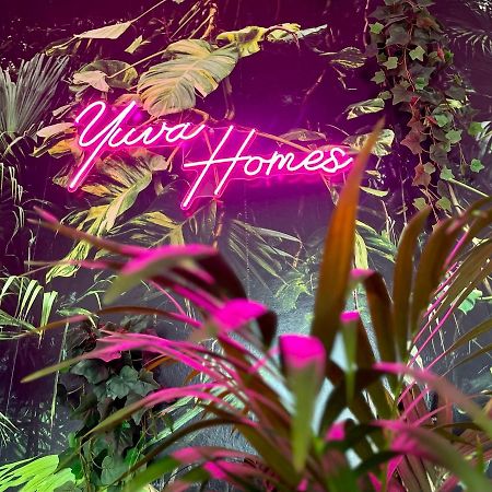 Yuva Homes Am Kurpark - Social Media Apartment 바트보리쇼펜 외부 사진